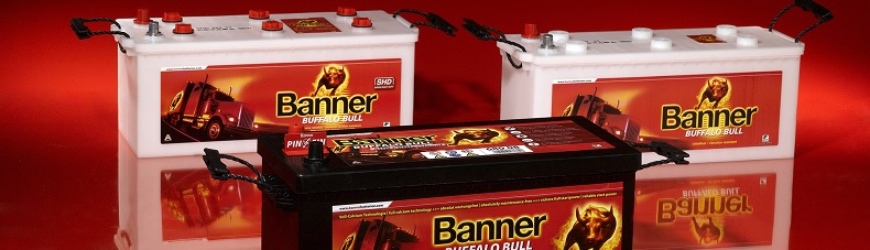 BANNER | BUFFALO BULL | AKKU